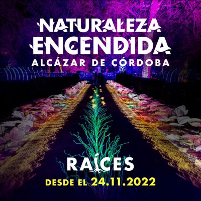 Agenda Única