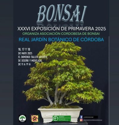 Agenda Única